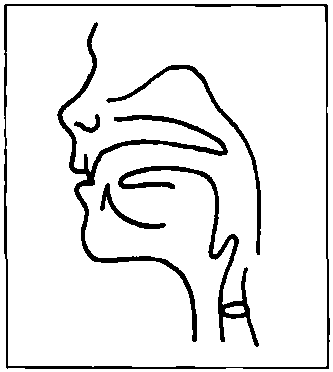 8.1 Labio-Dental Fricatives /f，v/